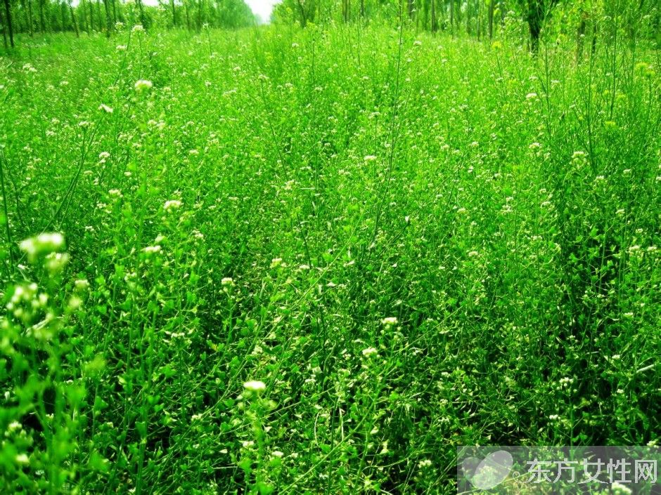 如何緩解眼睛疲勞 吃什么對眼睛好