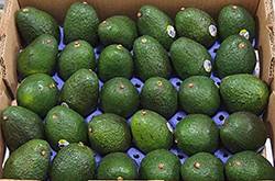 牛油果的營養(yǎng)價值及功效 牛油果的4大做法