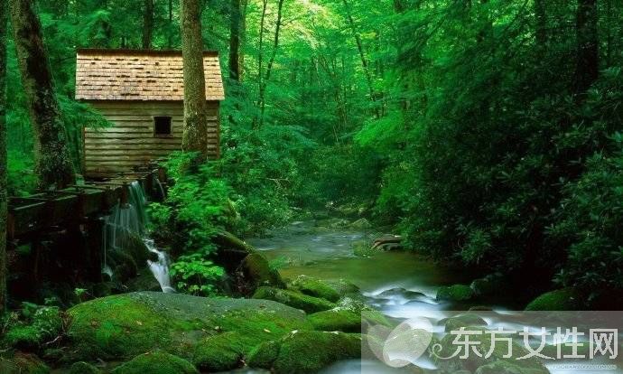 如何緩解眼睛疲勞 吃什么對眼睛好