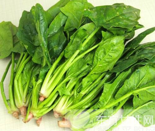 堿性食品有哪些 多吃這些食物可以延緩衰老哦