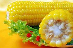 玉米煮多久能熟 細數玉米的功效與作用