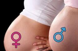 生男生女特征大公開(kāi) 科學(xué)辨別寶寶性別
