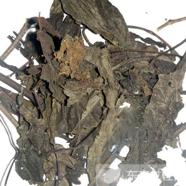 蘇葉的功效與作用 這些妙用很多人都不知道哦