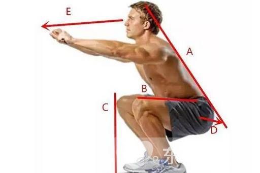 深蹲的好處和壞處 正確的深蹲動作應(yīng)該是這樣的