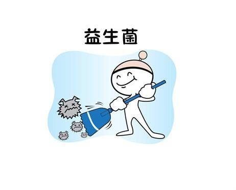 益生菌的作用機(jī)理 日常補(bǔ)充益生菌的注意事項