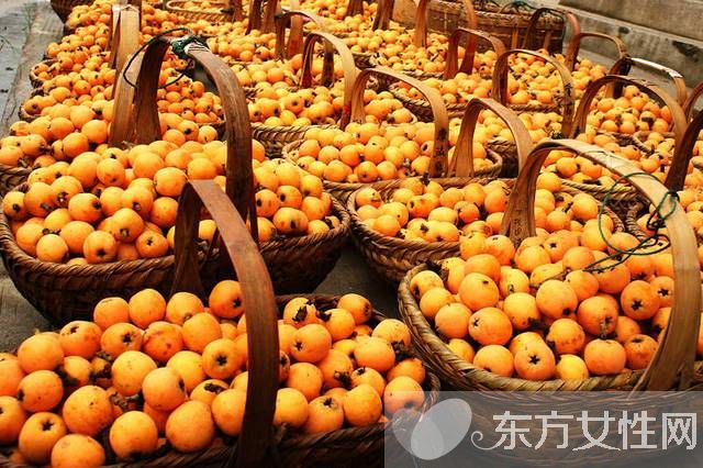 枇杷的功效與作用 枇杷的飲食禁忌一定要牢記