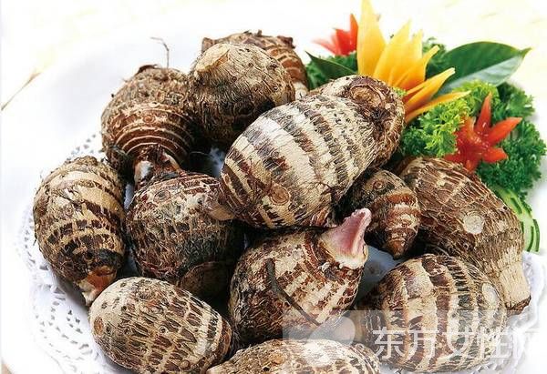 芋頭怎么吃好 兩大芋頭做法讓你嘗盡美味