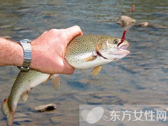 新媽媽須知 孕婦必吃的12種食物