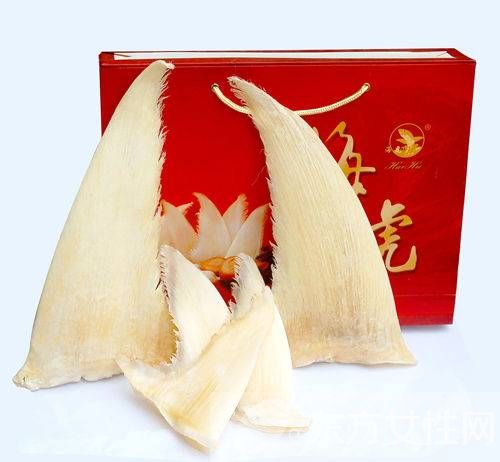 你知魚翅怎么發(fā)嗎 魚翅烹飪時需注意9要點