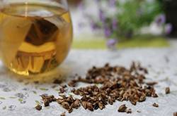 大麥茶的功效與禁忌有哪些 6大禁忌需注意