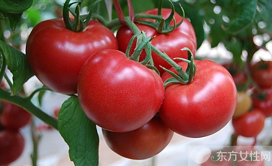 抗氧化食物有哪些 吃抗氧化食物有什么好處