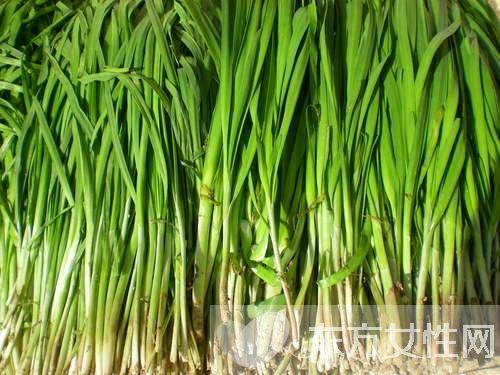 孕婦可以吃韭菜嗎 孕婦吃韭菜的好處