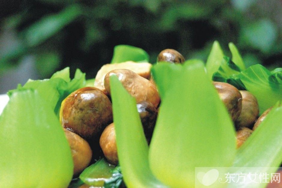 草菇的營養(yǎng)價值有哪些 推薦草菇的兩大食療法