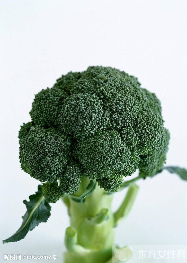 西蘭花的營養(yǎng)價值 西蘭花的4種食用方法