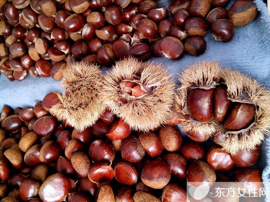 孕婦能吃板栗嗎 孕婦吃板栗的八大好處