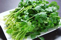 男性吃香菜殺精子嗎 香菜有效于減少眼疾