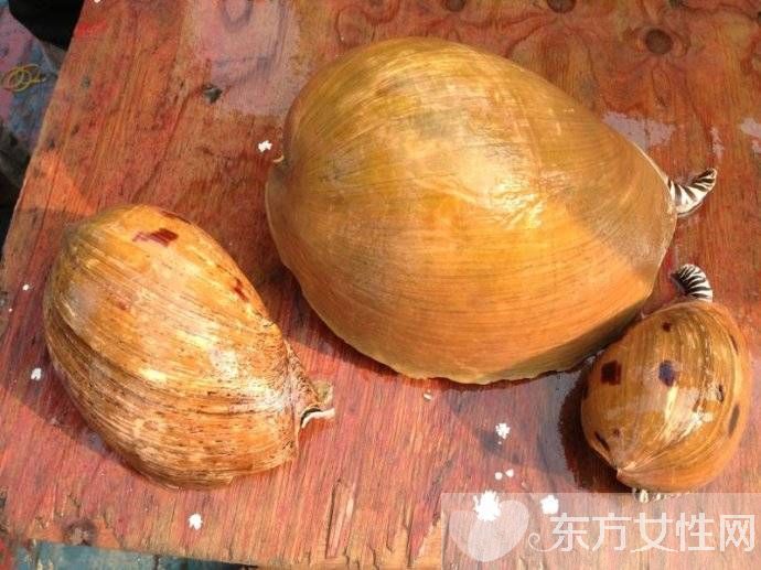 油螺的做法大公開(kāi) 揭油螺的7大營(yíng)養(yǎng)價(jià)值