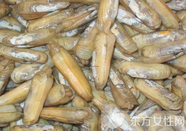 蟶子該怎么洗 三大步驟教你輕松搞定