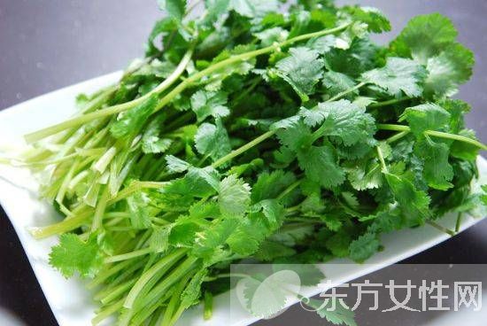 男性吃香菜殺精子嗎 香菜有效于減少眼疾