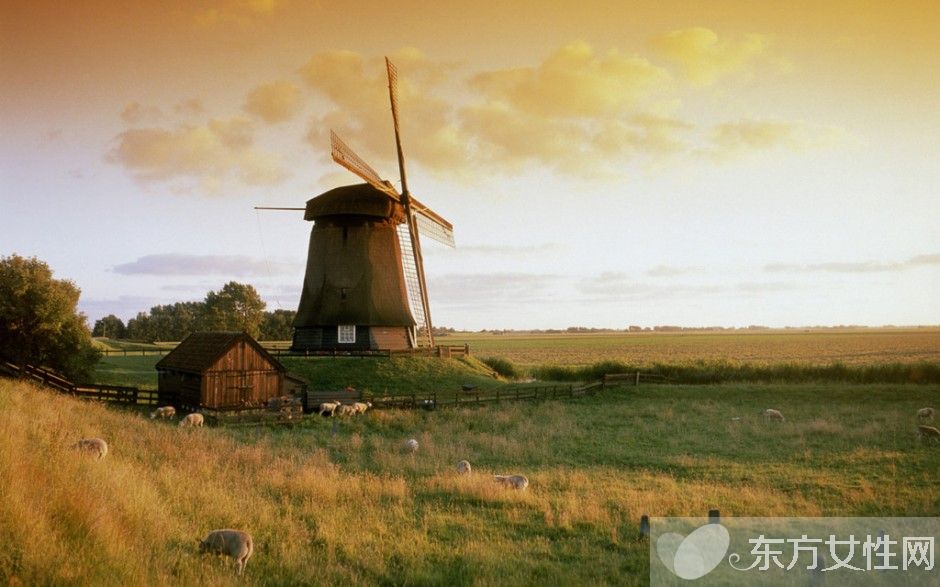 哪些是地勢最低的國家 揭荷蘭最為迷人之處