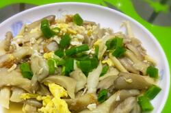 平菇怎么做好吃 平菇的家常做法大公開(kāi)