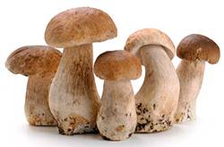 草菇的營養(yǎng)價(jià)值有哪些 推薦草菇的兩大食療法