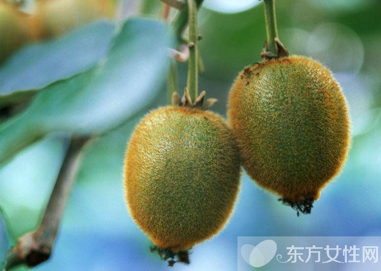 什么水果含維生素c 這5種讓你越吃越年輕