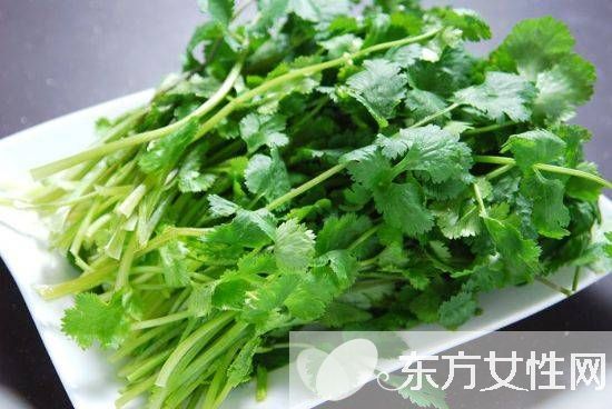 香菜的功效與作用及禁忌 這些人群最好少吃香菜