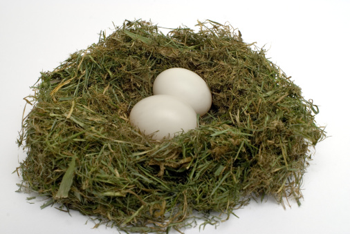 鴿子蛋有營(yíng)養(yǎng)嗎 鴿子蛋的吃法有哪些