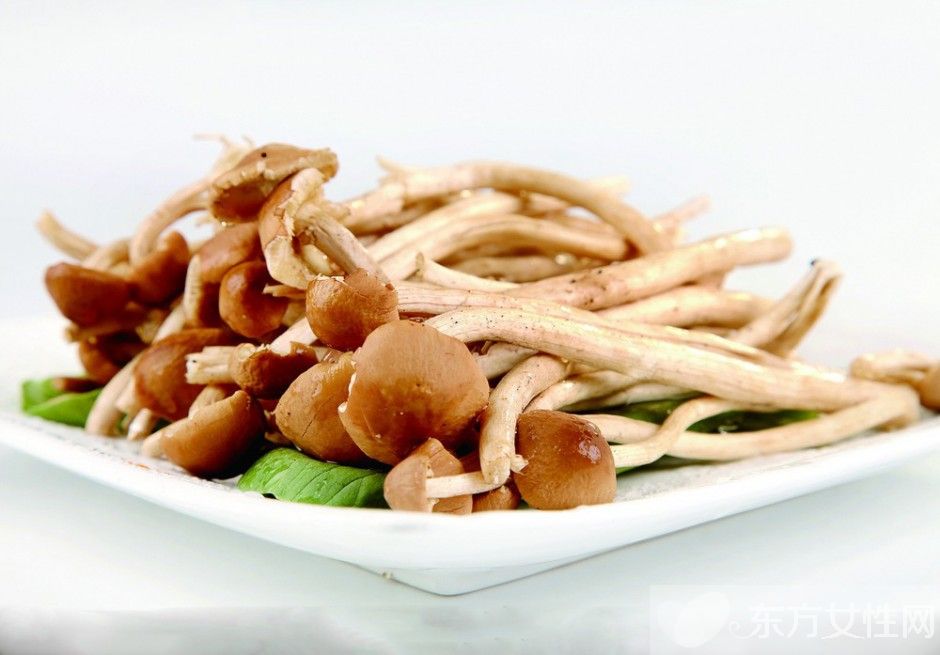 茶樹菇煲雞湯的做法 茶樹菇還可以搭配這些美味