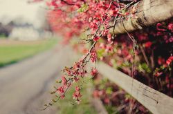 春天養(yǎng)生之道推薦 做好這三點身體棒棒噠