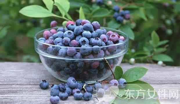 藍莓的營養(yǎng)價值及功效 藍莓吃多了后果很嚴(yán)重哦