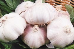 大蒜的功效與作用 大蒜的最佳養(yǎng)生吃法推薦