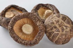 冬菇的營養(yǎng)價值介紹 美味冬菇肉餅的家常做法推薦