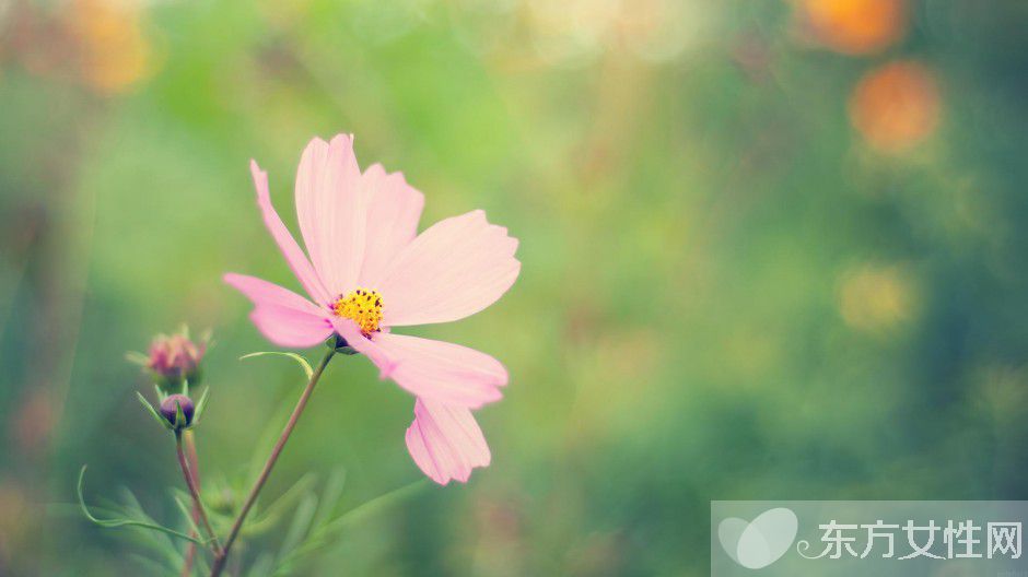 春天養(yǎng)生之道推薦 做好這三點身體棒棒噠