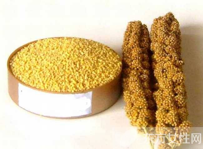 粟米是什么米 它的營(yíng)養(yǎng)價(jià)值居然是大米的4倍