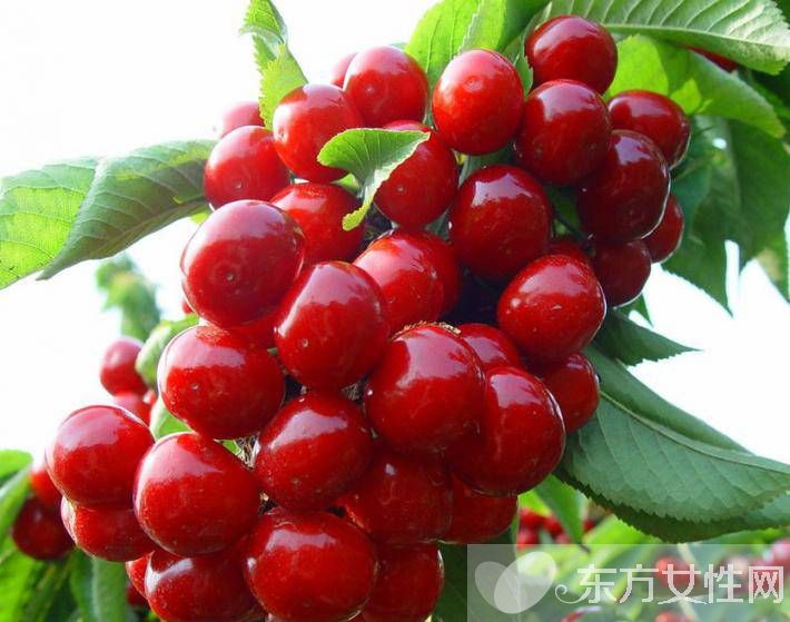 健康生活小知識推薦 壓力大睡不著吃這些就對了