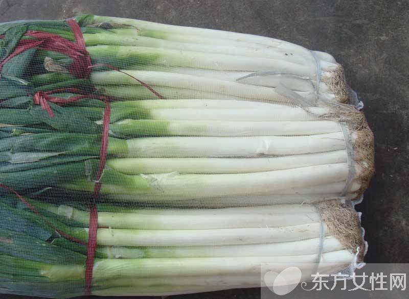 大蔥的功效與作用 這些食物放在一起吃就遭啦