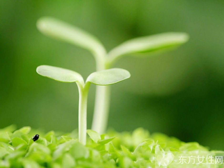 春季飲食養(yǎng)生小常識(shí) 春天應(yīng)該注意哪些飲食禁忌