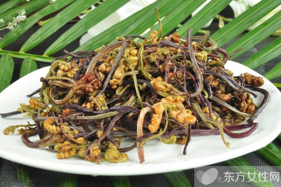野蕨菜的營養(yǎng)價(jià)值 這些美味做法你嘗試過嗎
