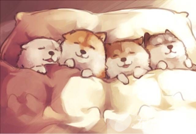 打呼嚕的解決方法 6個方法讓你不再打呼嚕