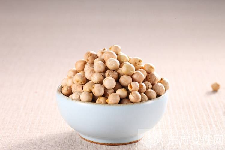 鷹嘴豆的營養(yǎng)價值介紹 最受歡迎的做法推薦