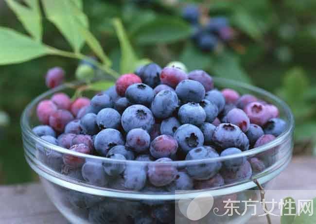 藍莓的營養(yǎng)價值及功效 藍莓吃多了后果很嚴(yán)重哦