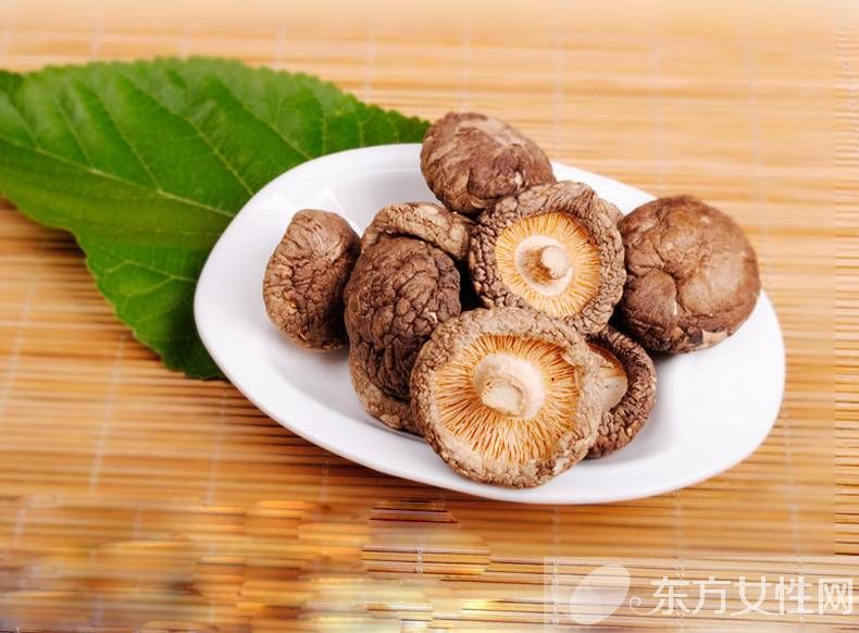 冬菇的營養(yǎng)價值介紹 美味冬菇肉餅的家常做法推薦