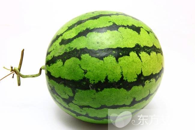 西瓜皮擦臉有什么好處 西瓜皮護(hù)膚效果居然這么好