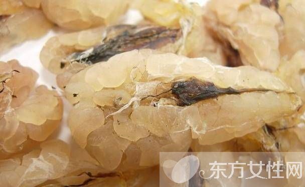 蛤蟆油的功效與作用 男人吃了效果你懂的