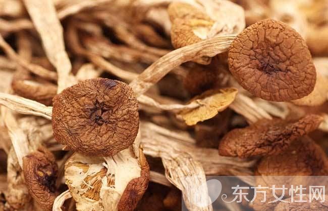 茶樹菇煲雞湯的做法 茶樹菇還可以搭配這些美味