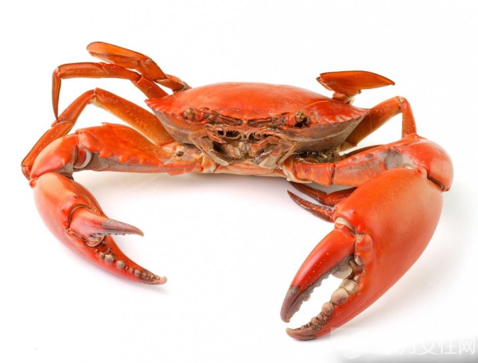 秋冬季養(yǎng)生小常識 螃蟹養(yǎng)生食療放法推薦