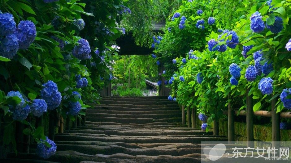 春季養(yǎng)生保健知識 這些 偽健康 食物最好少吃