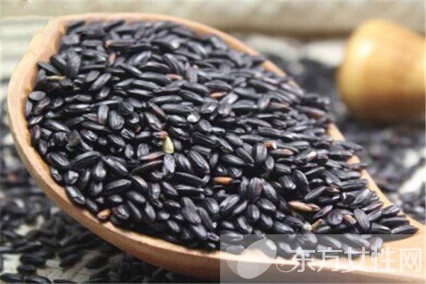 黑芝麻怎么吃最好 常吃黑芝麻有意想不到的收獲哦